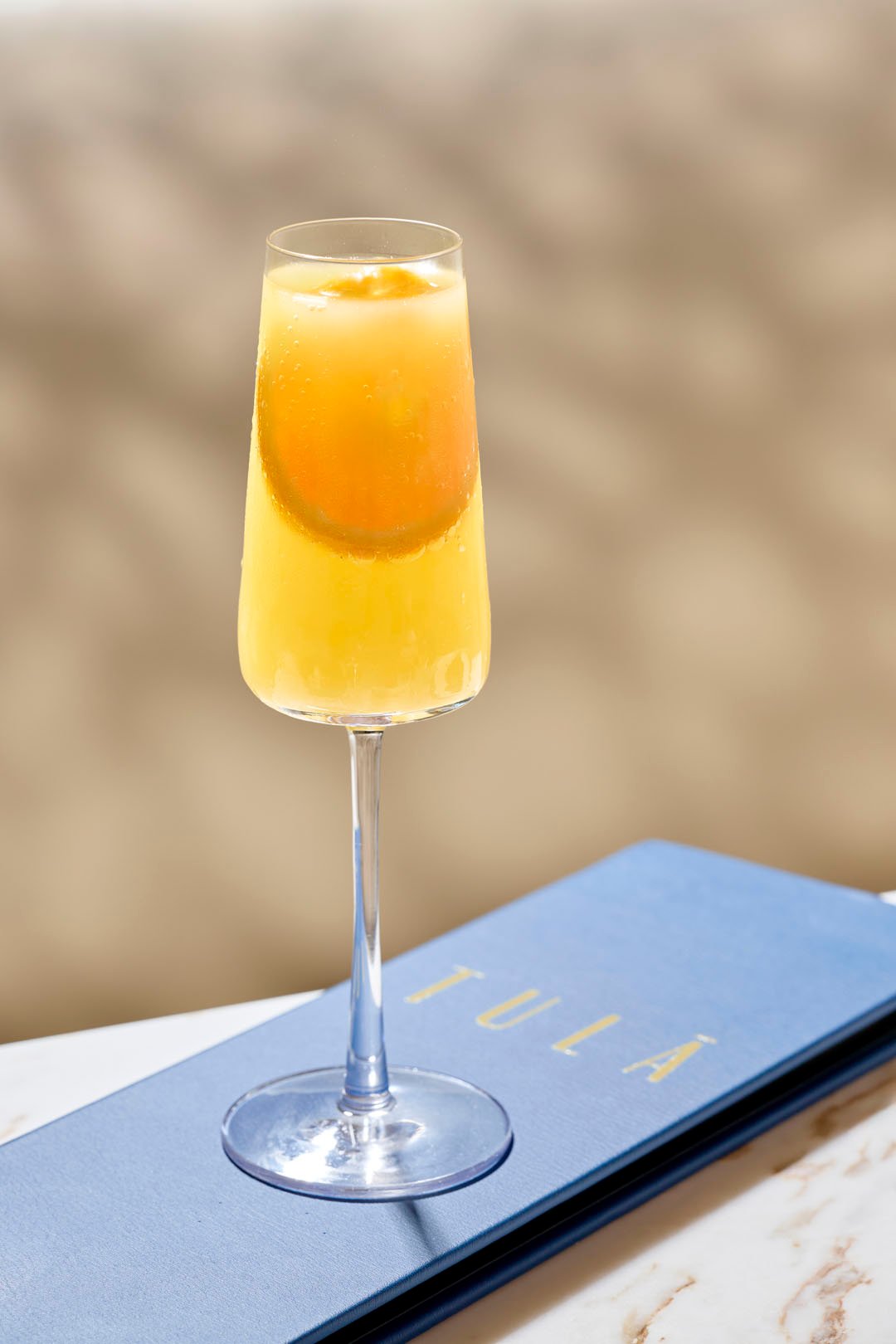 A mimosa at Tula