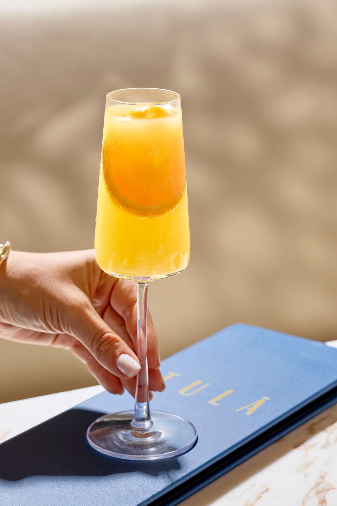 A mimosa at Tula